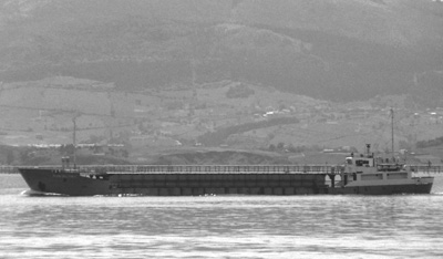 Playa de Pindo by F. Estrañi